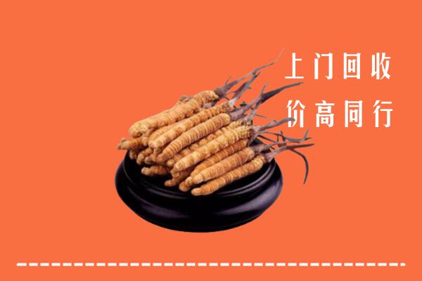 高价求购：桑植县回收散虫草